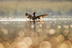 20180520553fea58-787c-9c30-a606-97ec6bf1592c