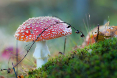 20180520605f0075-584a-9d8c-4a0f-721feea5d447