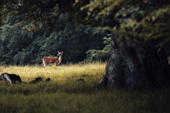 2018052094ab406f-539f-6648-69b1-7b4e1423f60c