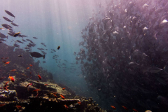 20180520aa53b896-0b60-bf8d-1f54-f5dc93dc34fe