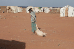 Borana-Drought-2023-affected-families-in-ethiopia-