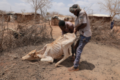 Borana-Drought-2023-affected-families
