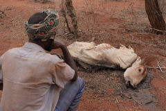 Borana-Drought-2023-picture-1