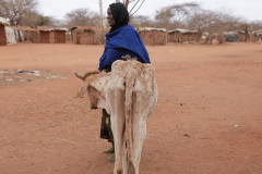 Borana-Drought-2023-picture-2